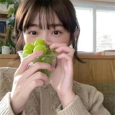 大明星醒目狗